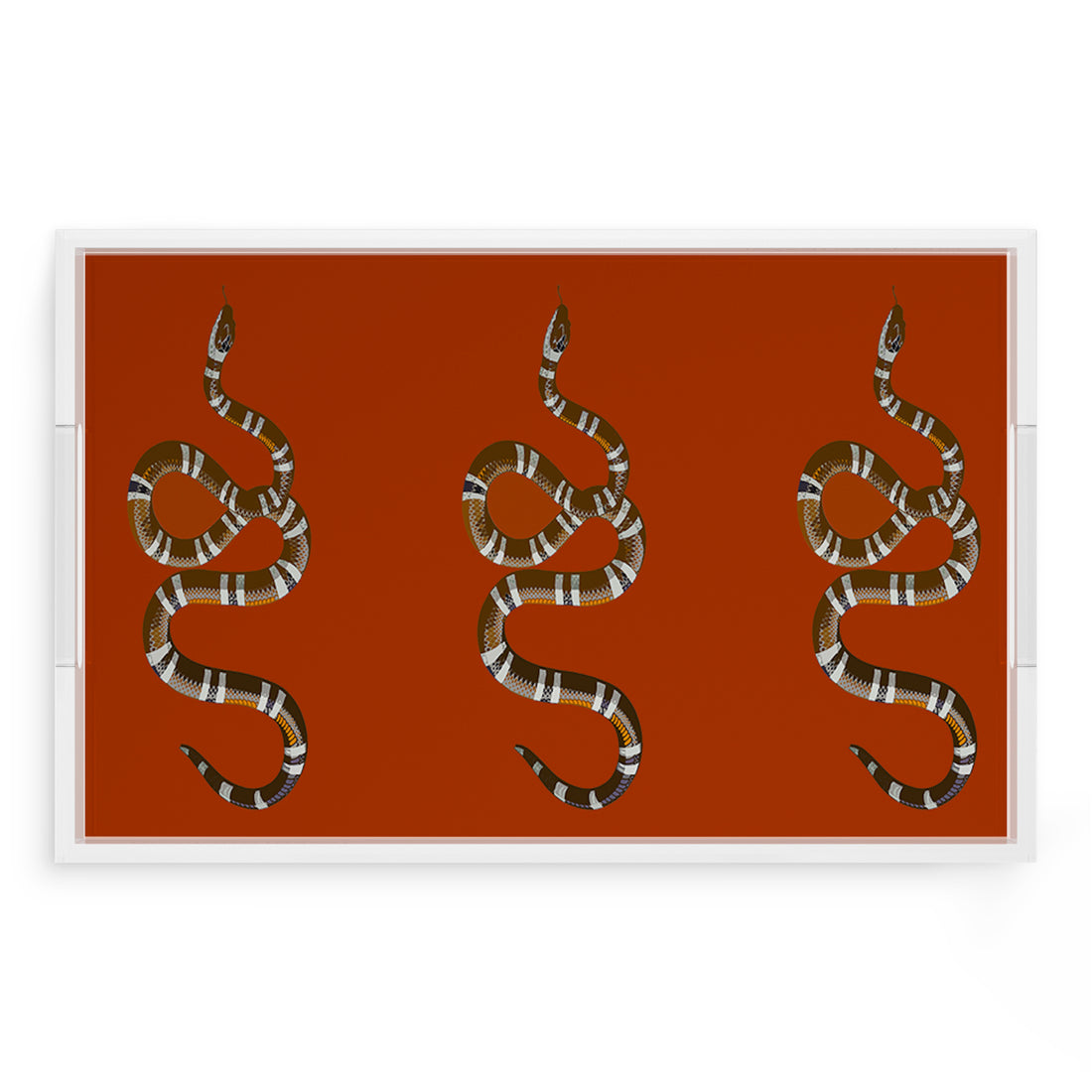 Serpent Burnt Orange 22.5X14.5 Acrylic Tray - nicolettemayer.com
