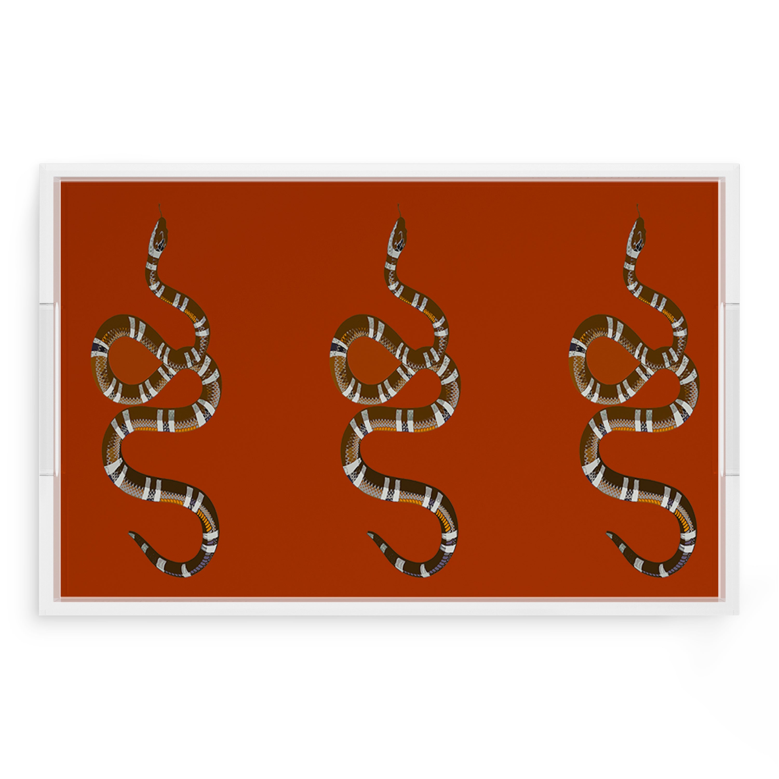 Serpent Burnt Orange 22.5X14.5 Acrylic Tray - nicolettemayer.com
