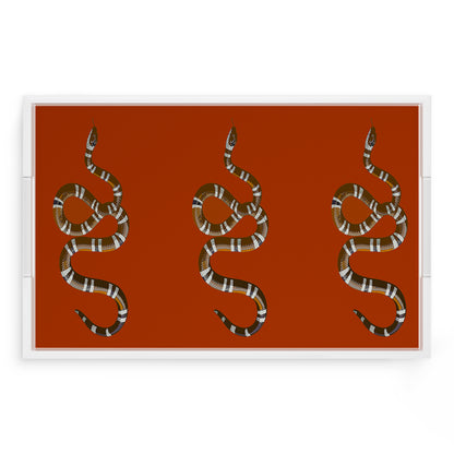 Serpent Burnt Orange 22.5X14.5 Acrylic Tray - nicolettemayer.com
