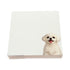 Shih Tzu dog note cards by Nicolette Mayer, set of 100