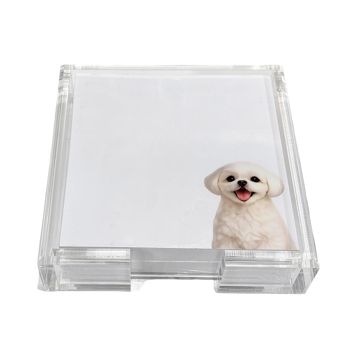 Shih Tzu dog note cards in a clear acrylic holder by Nicolette Mayer