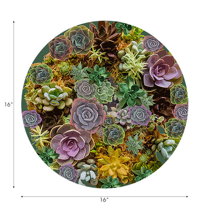 Ensemble de 4 sets de table ronds en galets, motif plantes succulentes à feuilles persistantes, 40 cm