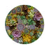 Succulents Evergreen 16" Round Pebble Placemats, Set of 4 - nicolettemayer.com
