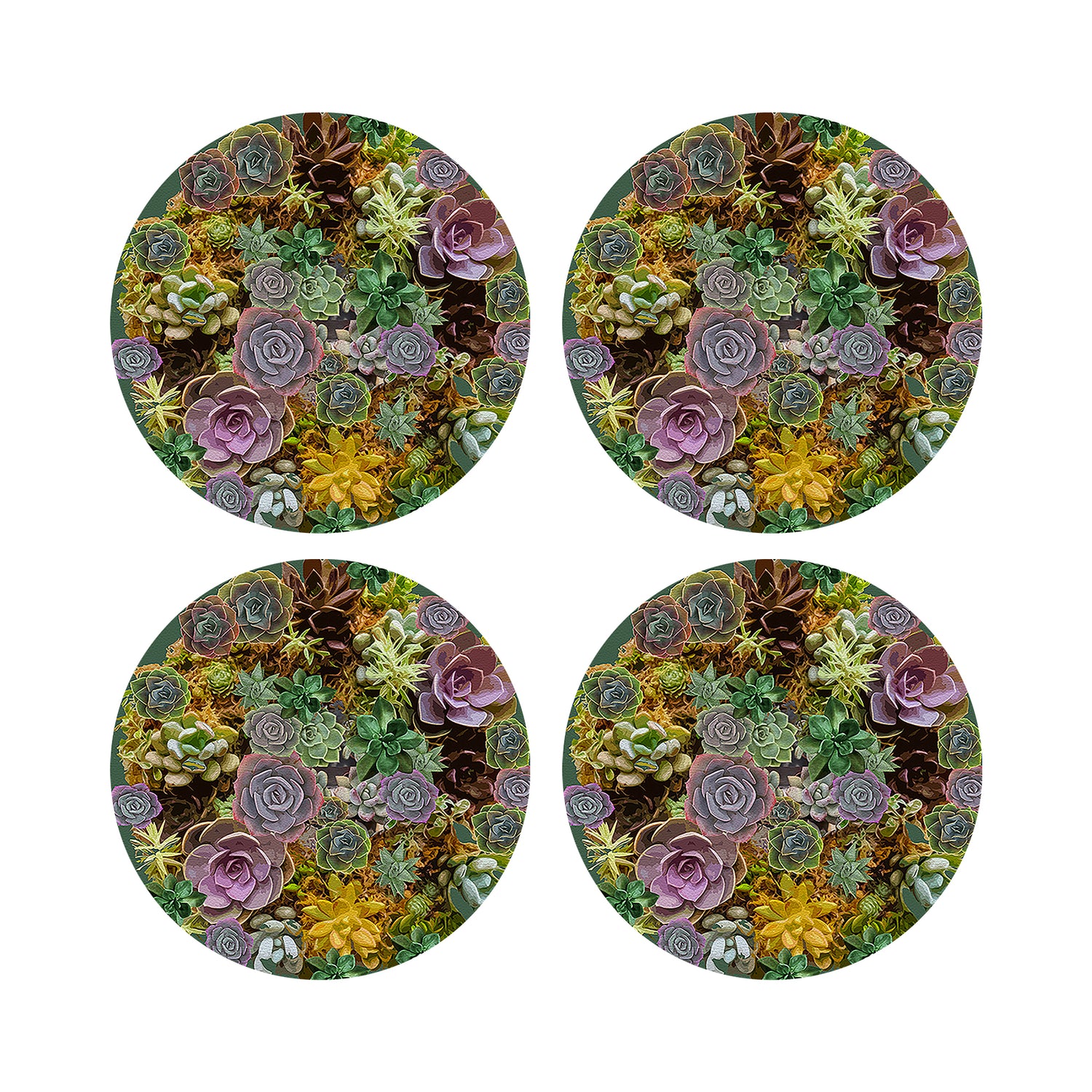 Succulents Evergreen 16&quot; Round Pebble Placemats, Set of 4 - nicolettemayer.com
