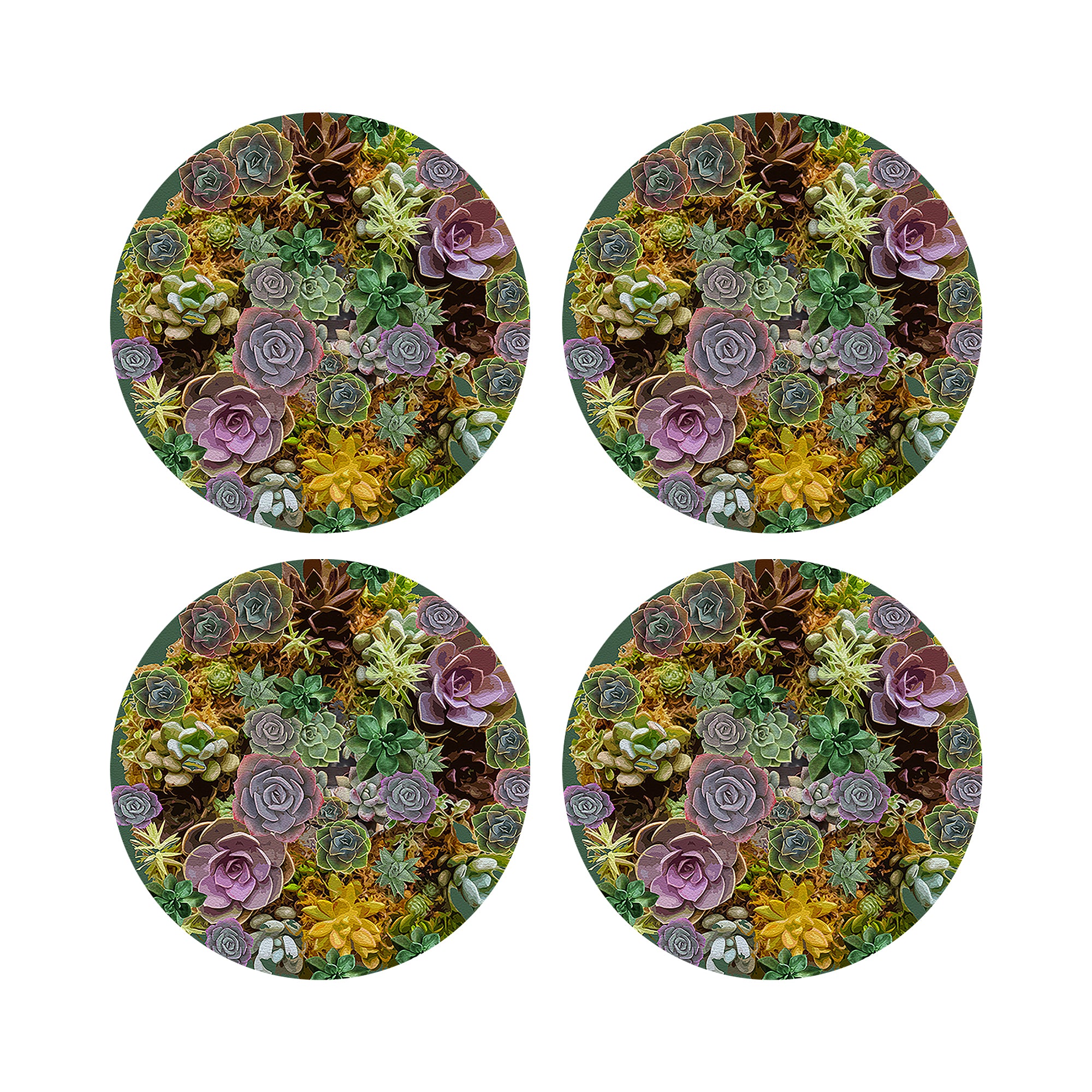 Succulents Evergreen 16&quot; Round Pebble Placemats, Set of 4 - nicolettemayer.com
