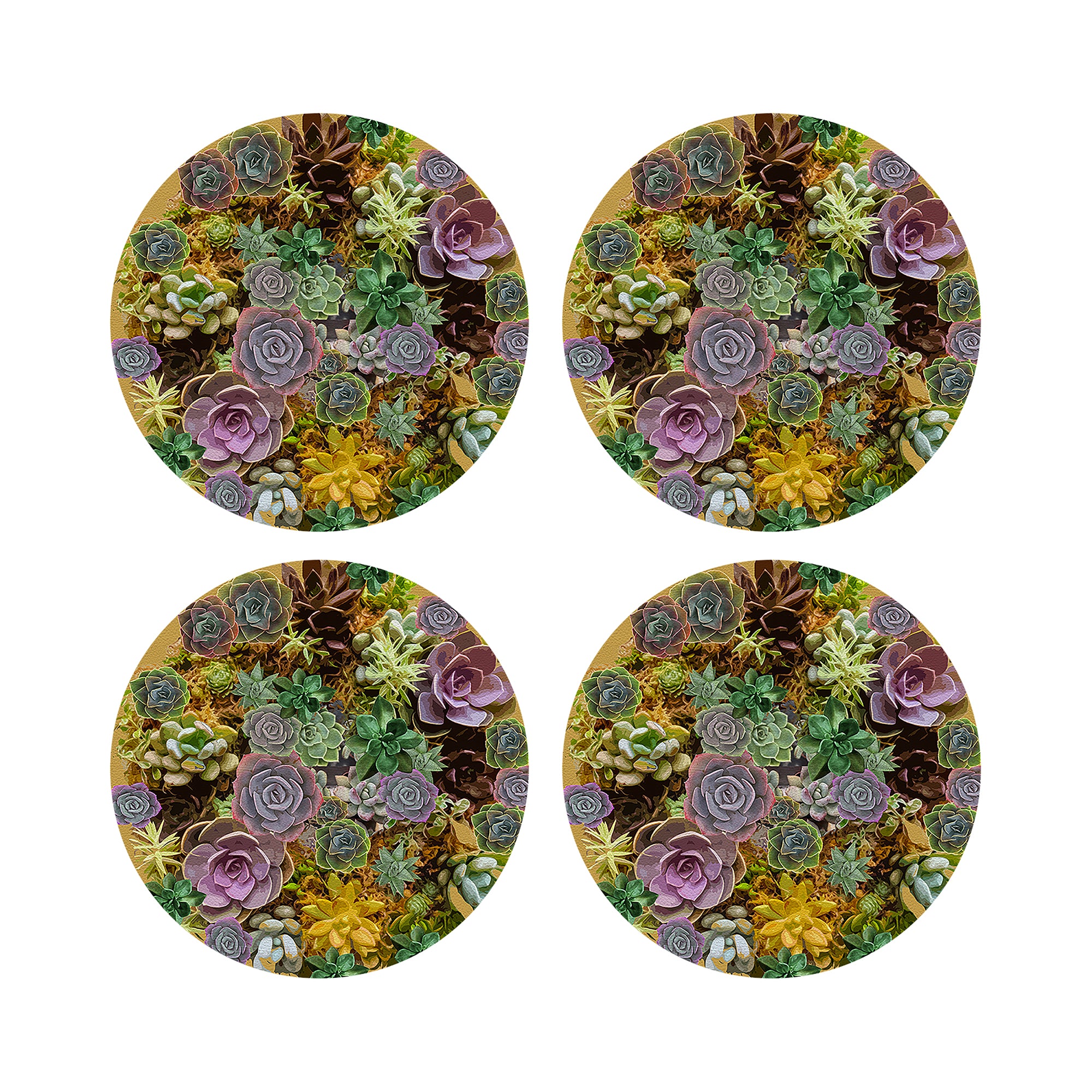 Succulents Gold 16&quot; Round Pebble Placemats, Set of 4 - nicolettemayer.com
