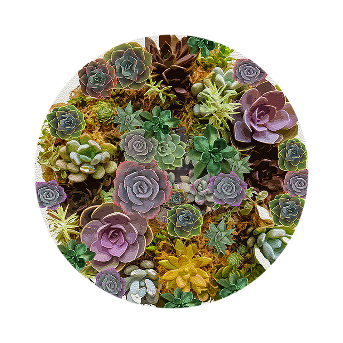Succulents White 16&quot; Round Pebble Placemat Set of 4 - nicolettemayer.com