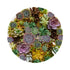 Succulents White 16" Round Pebble Placemats, Set of 4 - nicolettemayer.com
