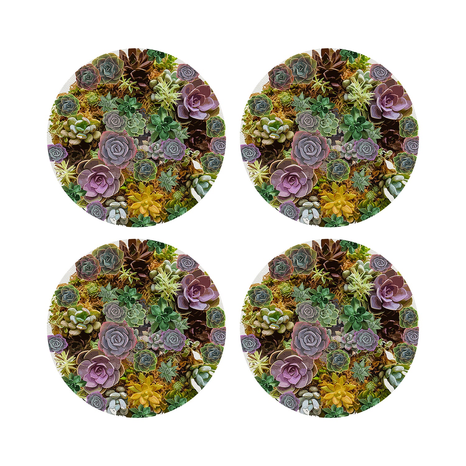 Succulents White 16&quot; Round Pebble Placemats, Set of 4 - nicolettemayer.com
