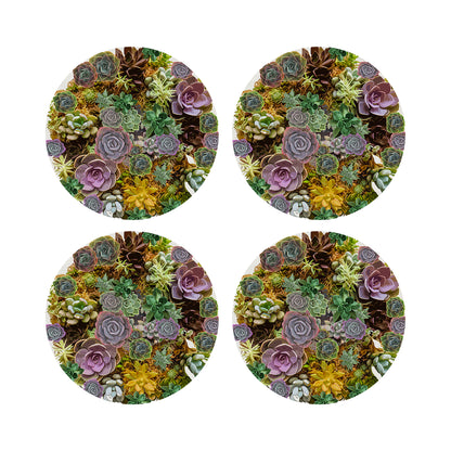 Succulents White 16&quot; Round Pebble Placemats, Set of 4 - nicolettemayer.com
