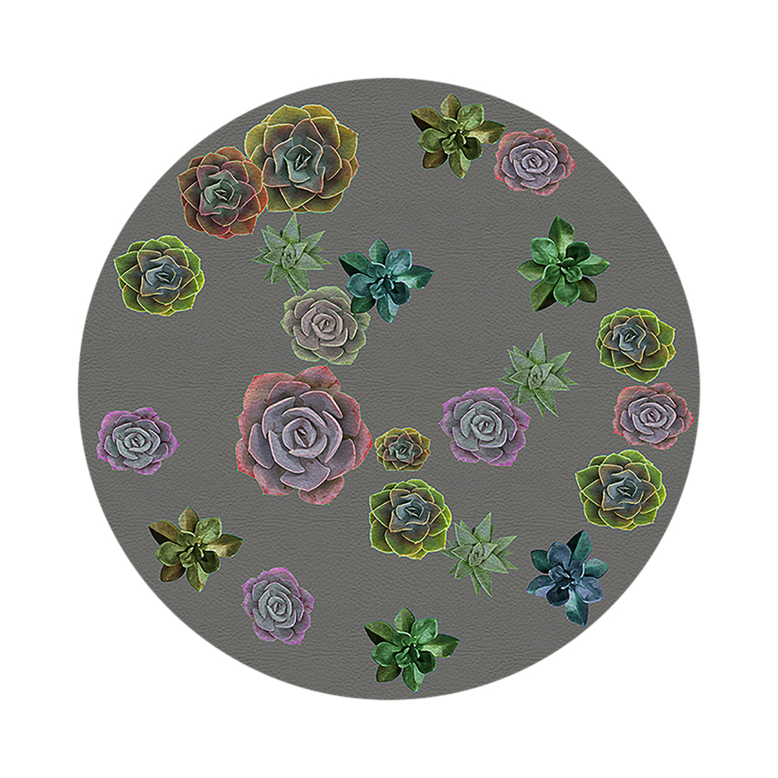 Succulents Floating Gray 16&quot; Round Pebble Placemat Set of 4 - nicolettemayer.com