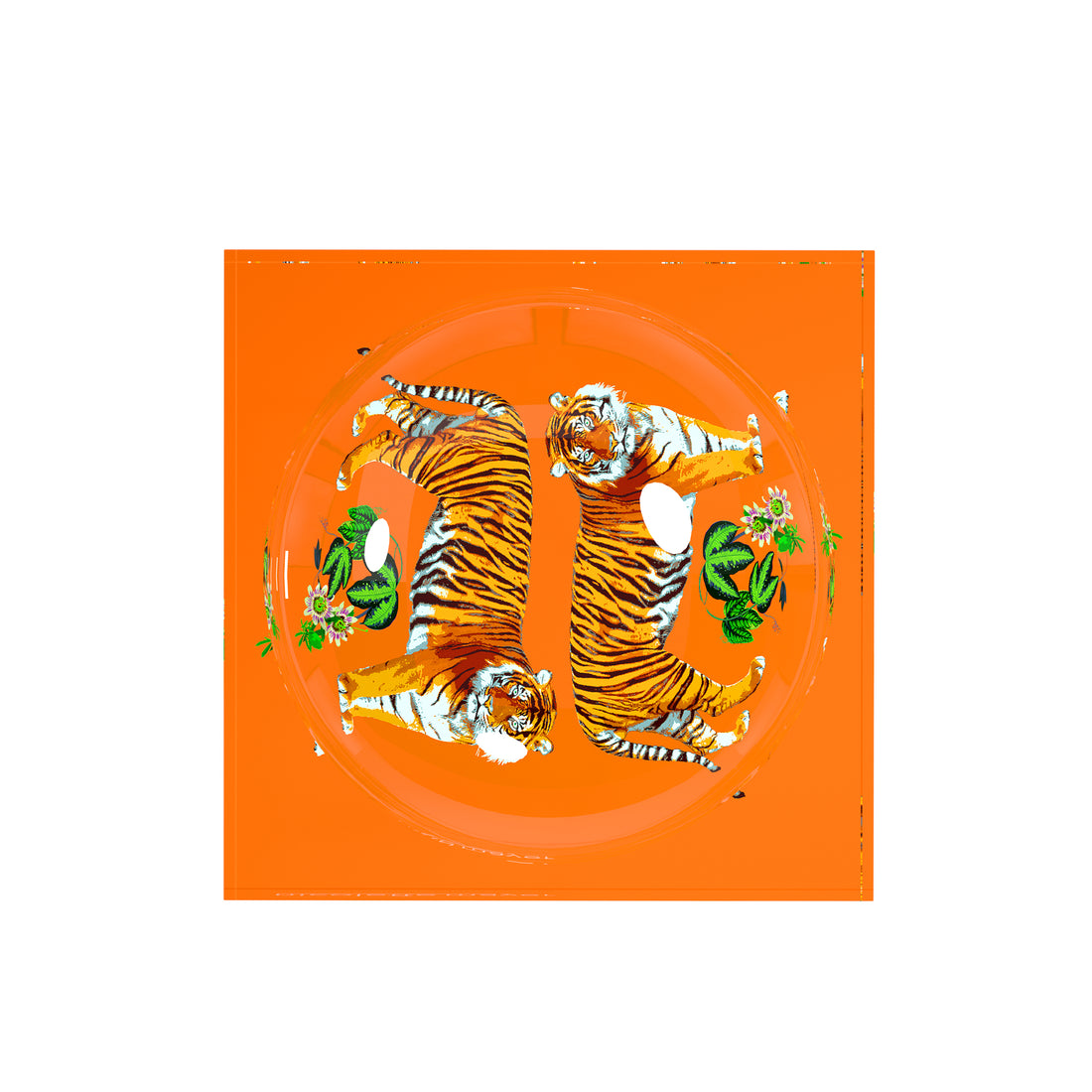 Tiger Seeing Double Orange Acrylic Candy Catchall Dish - nicolettemayer.com