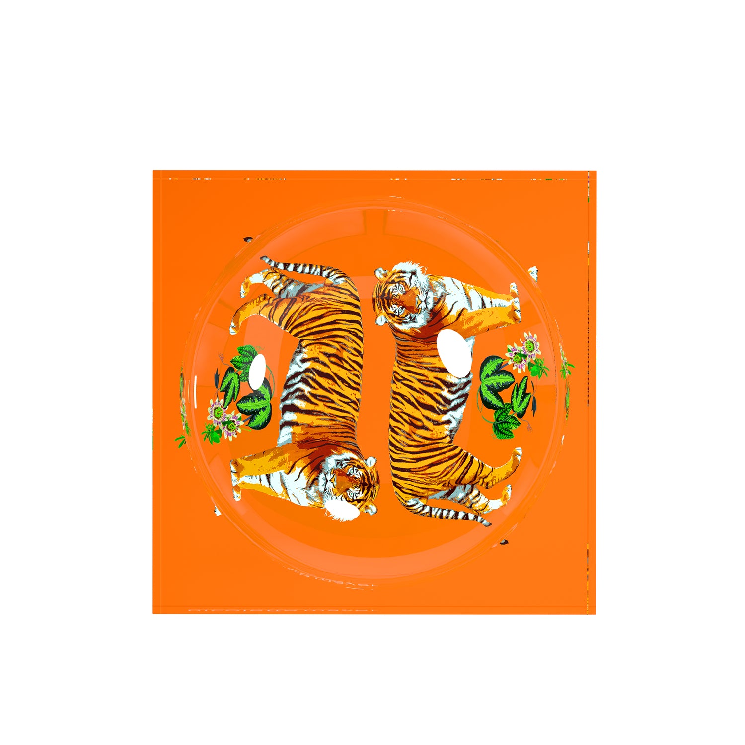 Tiger Seeing Double Orange Acrylic Candy Catchall Dish - nicolettemayer.com