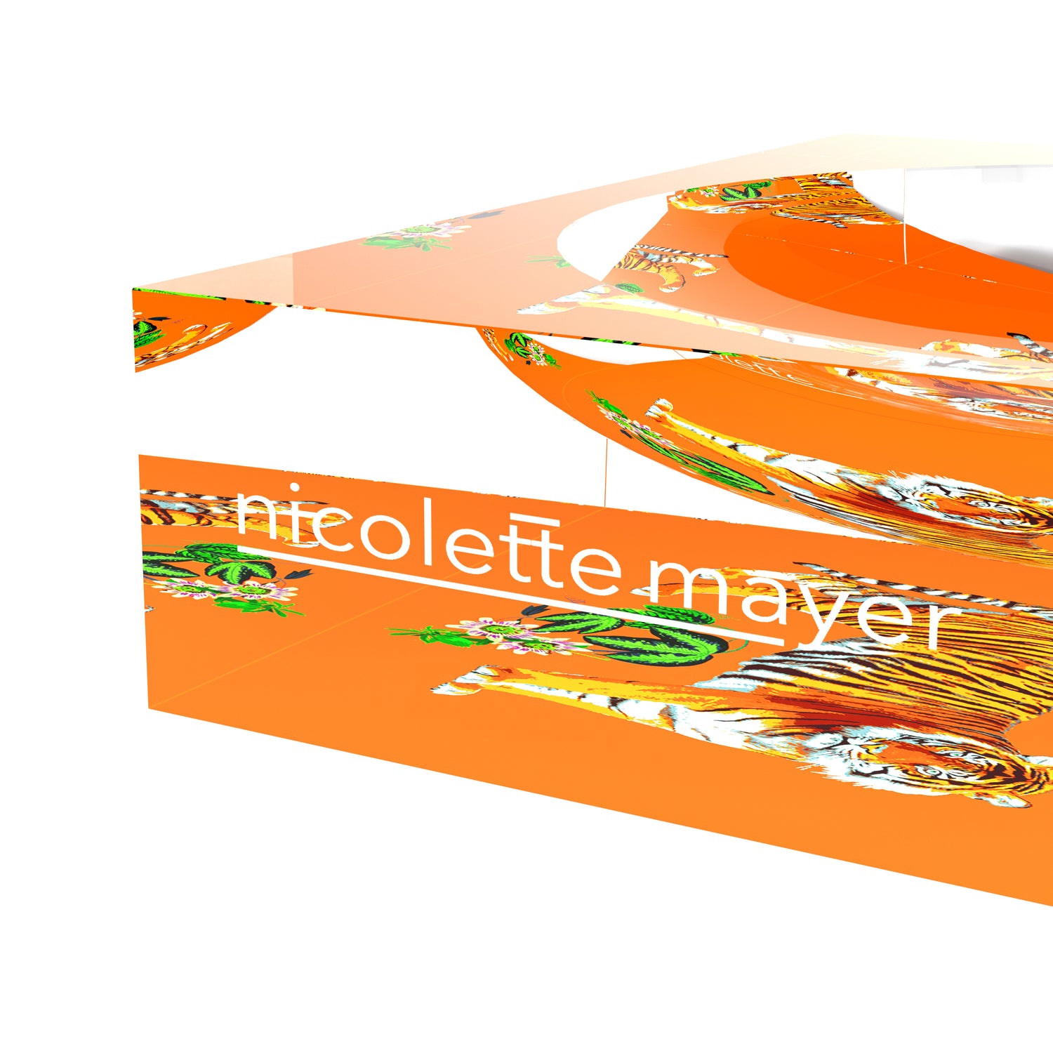 Tiger Seeing Double Orange Acrylic Candy Catchall Dish - nicolettemayer.com