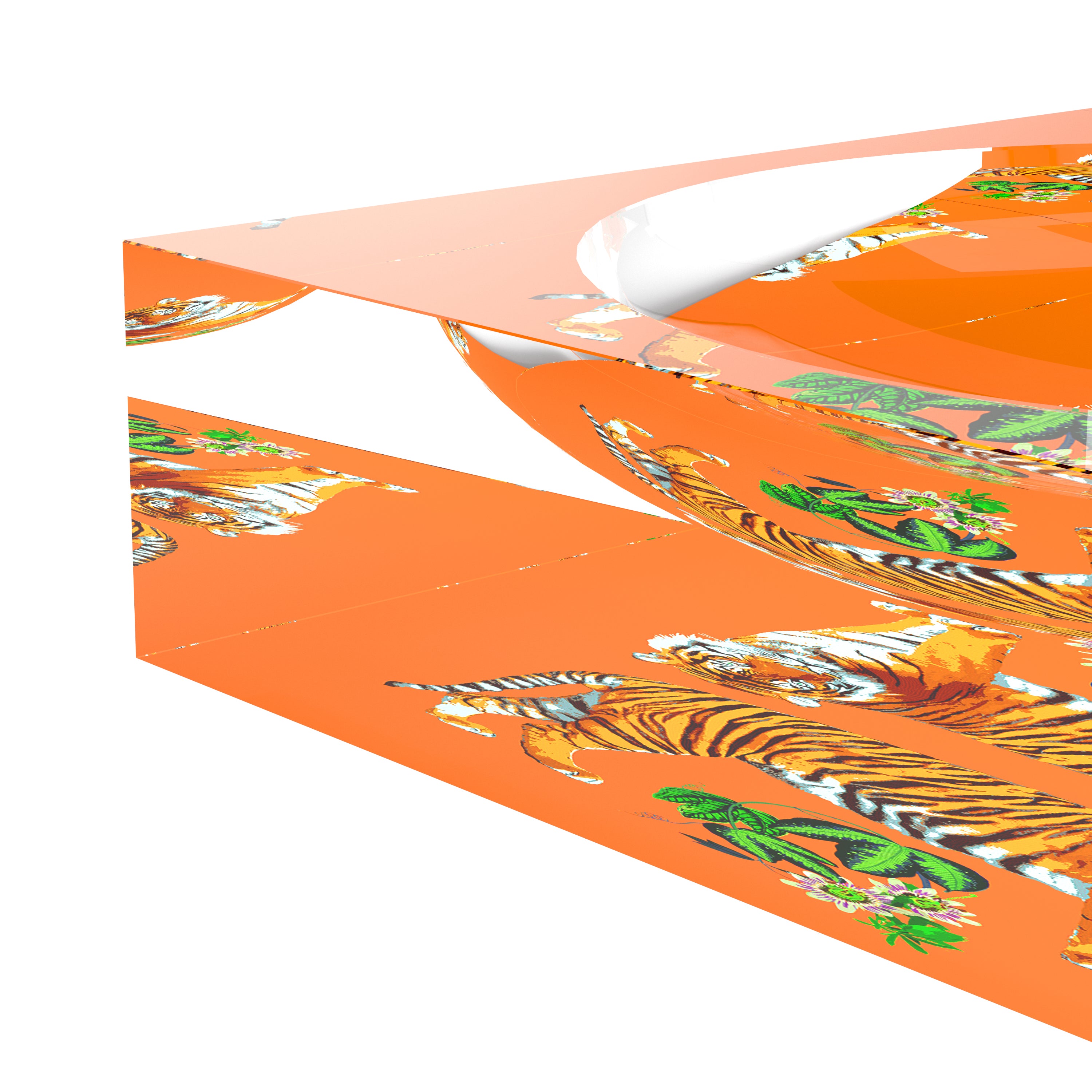 Tiger Seeing Double Orange Acrylic Candy Catchall Dish - nicolettemayer.com