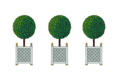 Timothy Corrigan Topiary Paper Placemat Pad, One Set Of 24