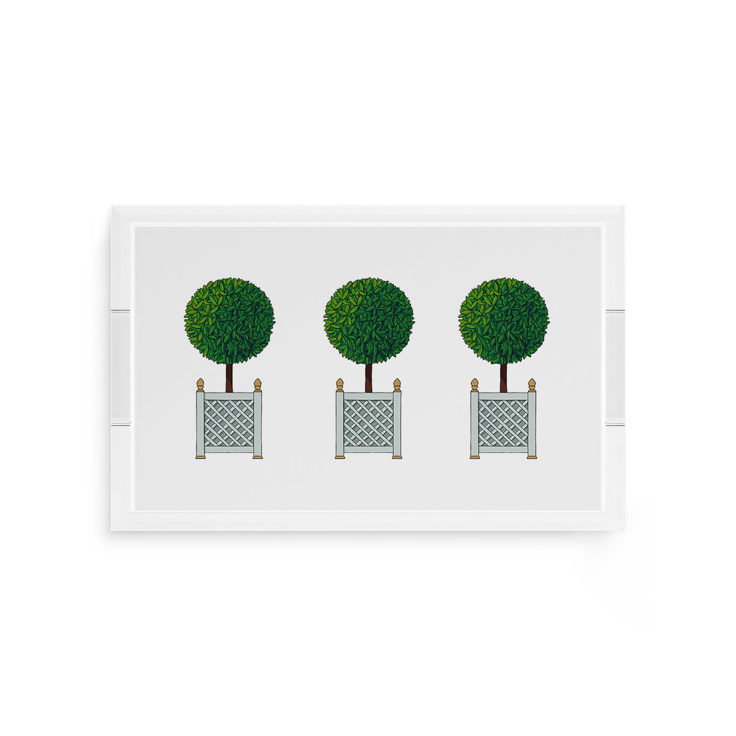 Timothy Corrigan Topiary 12.5X7.75 Acrylic Tray - nicolettemayer.com
