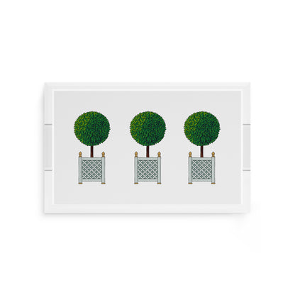 Timothy Corrigan Topiary 12.5X7.75 Acrylic Tray - nicolettemayer.com
