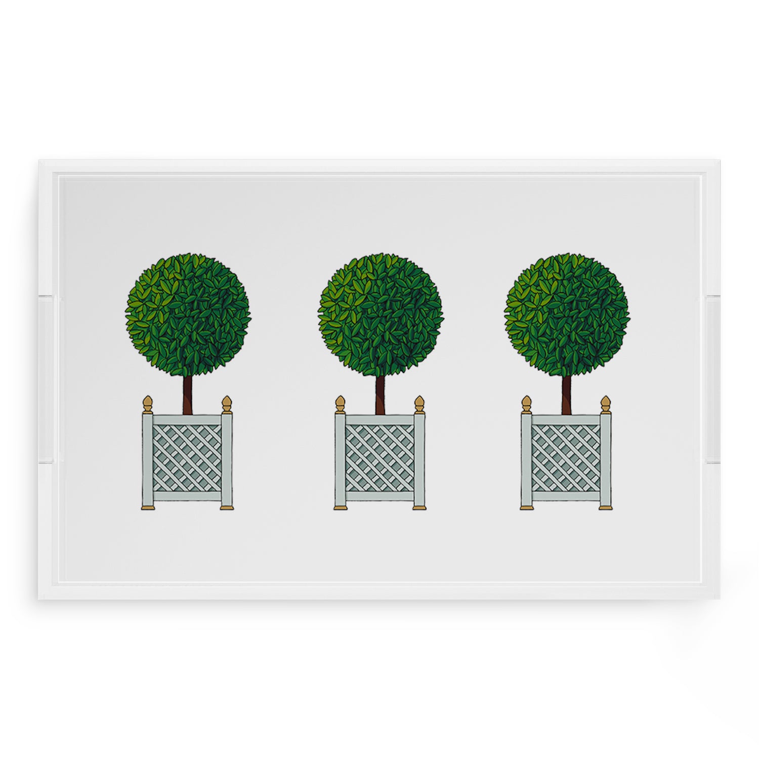 Timothy Corrigan Topiary 22.5X14.5 Acrylic Tray - nicolettemayer.com
