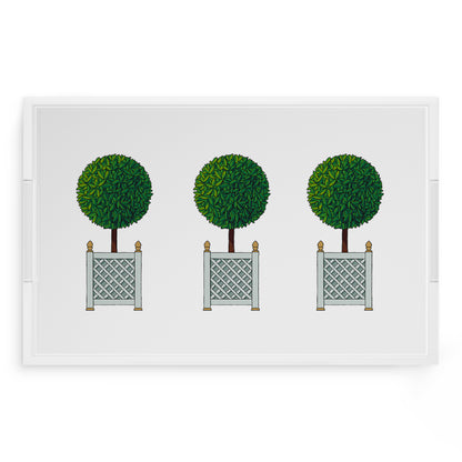 Timothy Corrigan Topiary 22.5X14.5 Acrylic Tray - nicolettemayer.com
