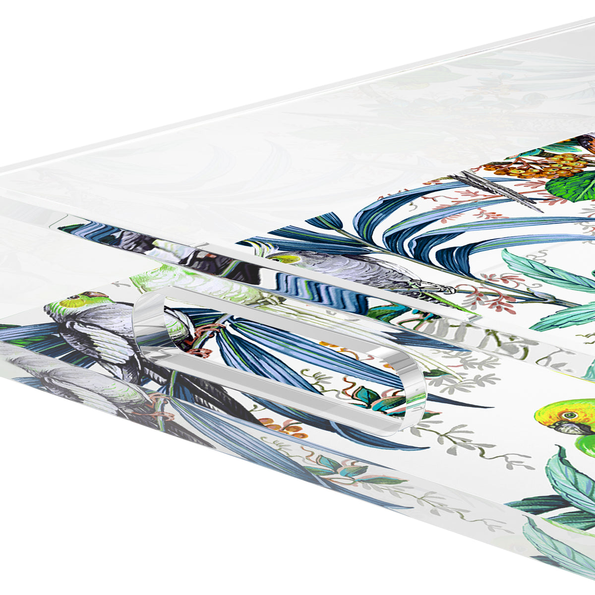 Tropical Passion Acrylic Rectangle Decorative Tray, by Nicolette Mayer 