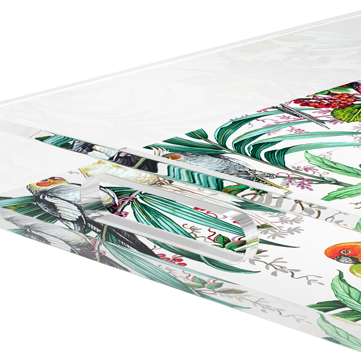Tropical Passion Acrylic Rectangle Decorative Tray, by Nicolette Mayer 