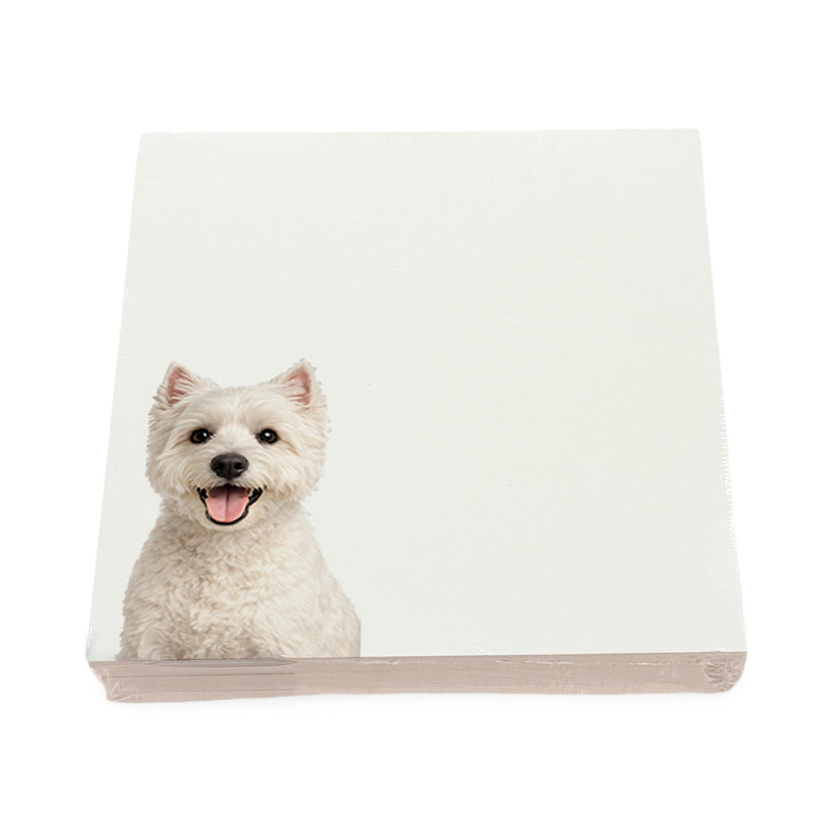 Westie dog note cards by Nicolette Mayer, set of 100