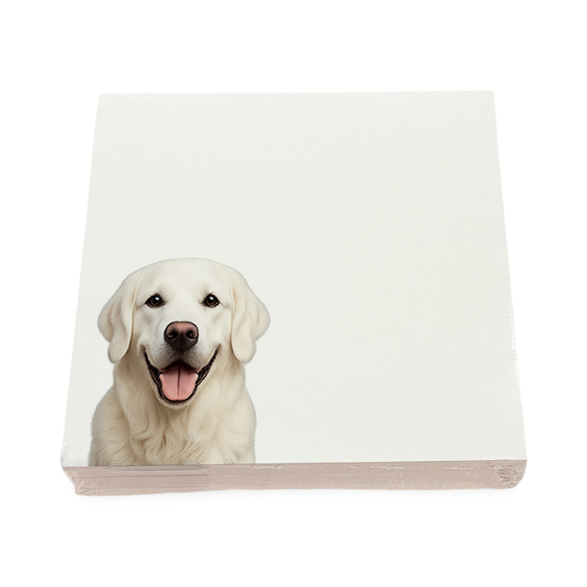 White Lab dog note cards by Nicolette Mayer, set of 100