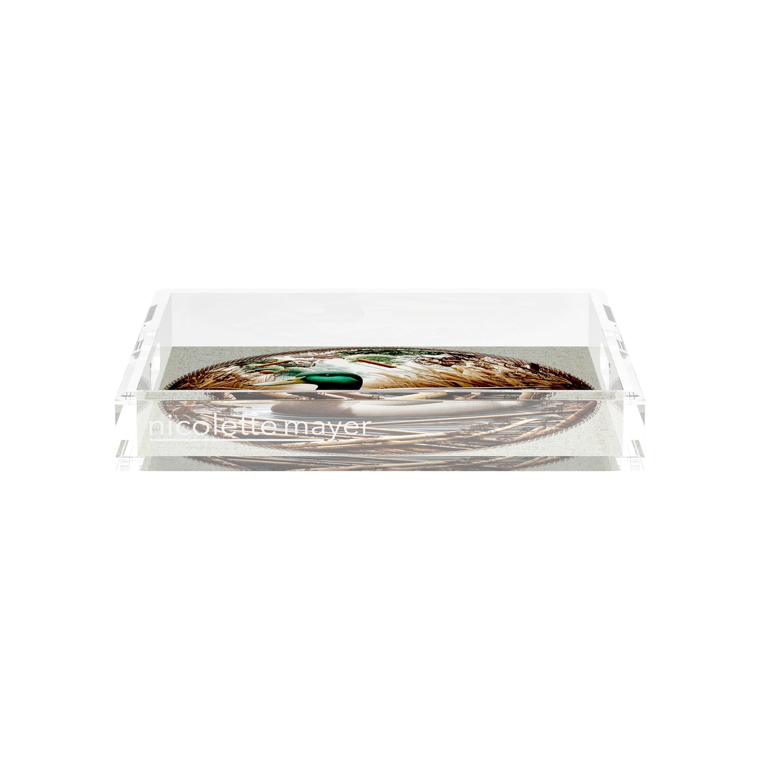 Woodland Mallard Duck 12X12 Acrylic Tray - nicolettemayer.com