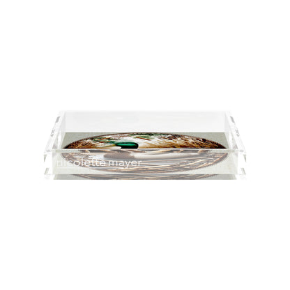 Woodland Mallard Duck 12X12 Acrylic Tray - nicolettemayer.com