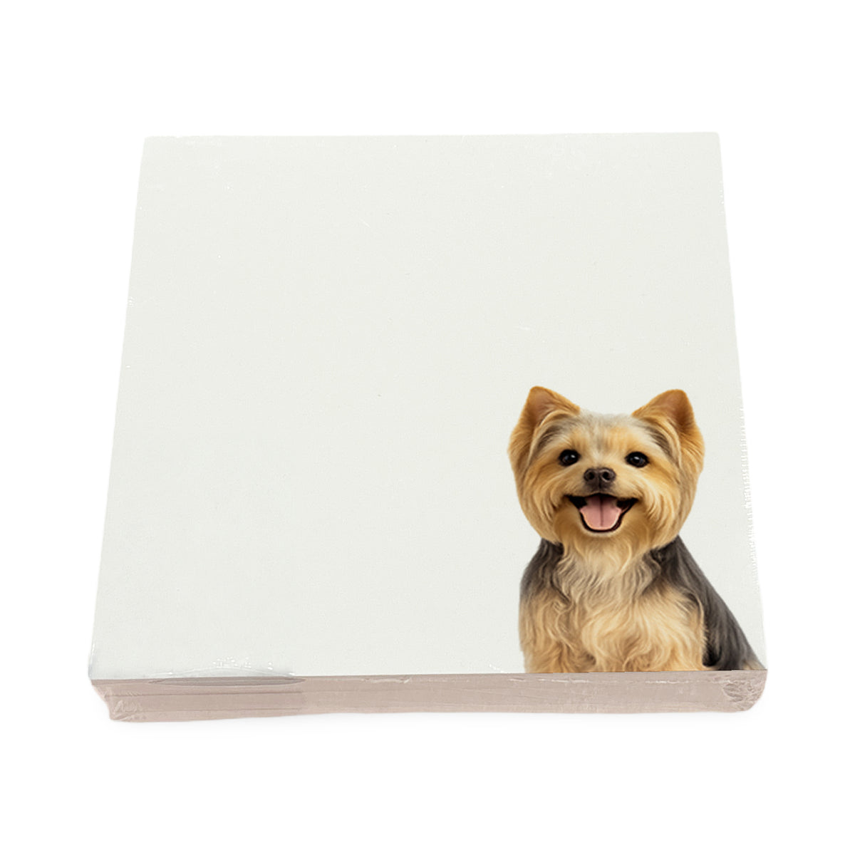 Yorkie dog note cards by Nicolette Mayer, set of 100