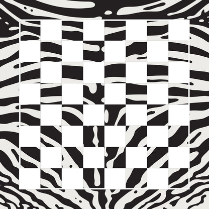 Zebra Skin Black White Acrylic Chess - nicolettemayer.com