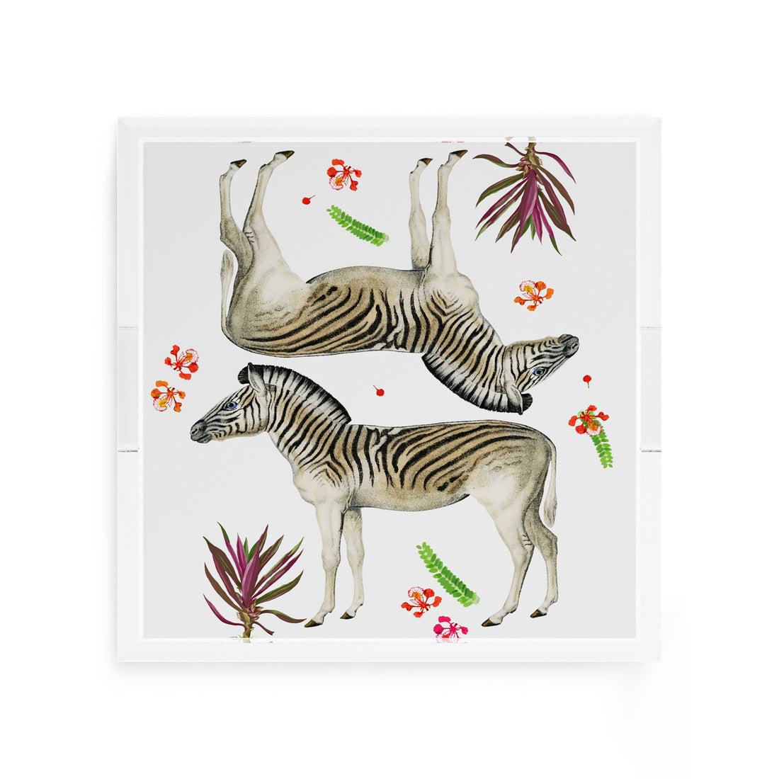Zebra Seeing Double 12X12 Acrylic Tray - nicolettemayer.com
