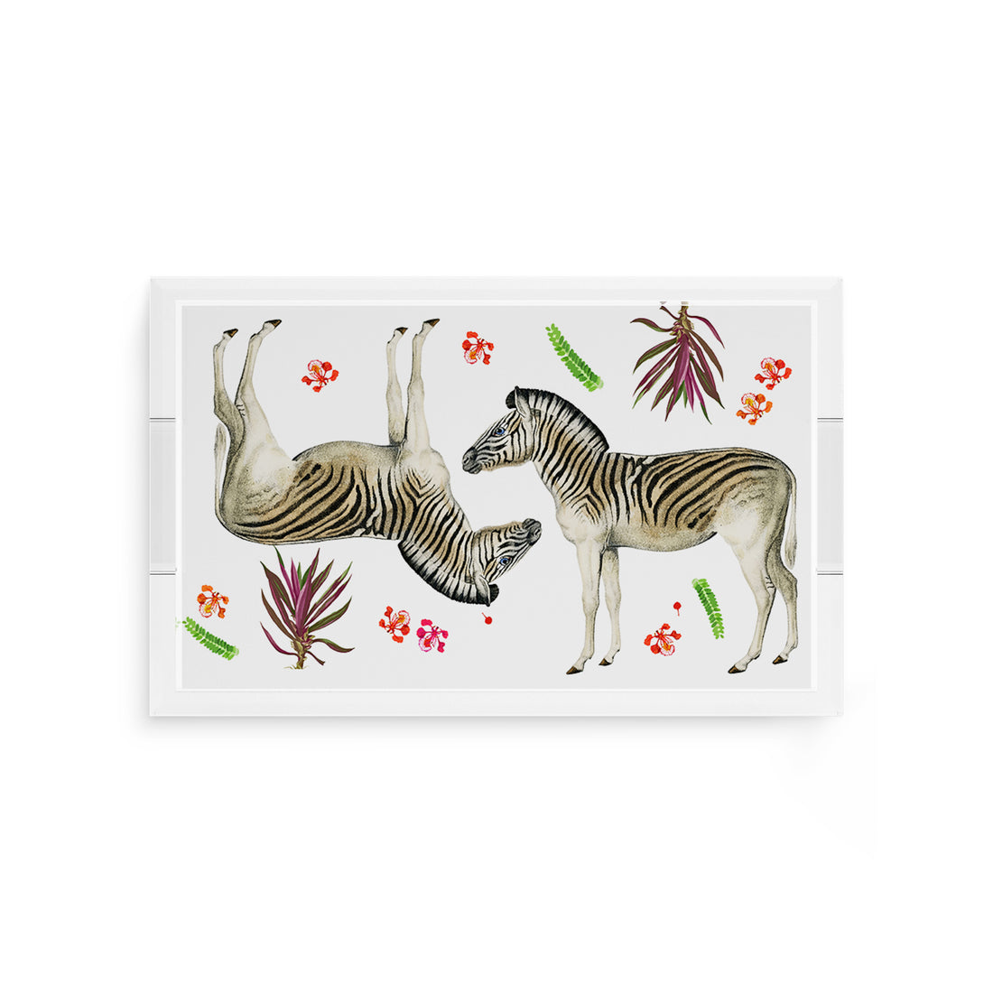 Zebra Seeing Double 12.5X7.75 Acrylic Tray - nicolettemayer.com
