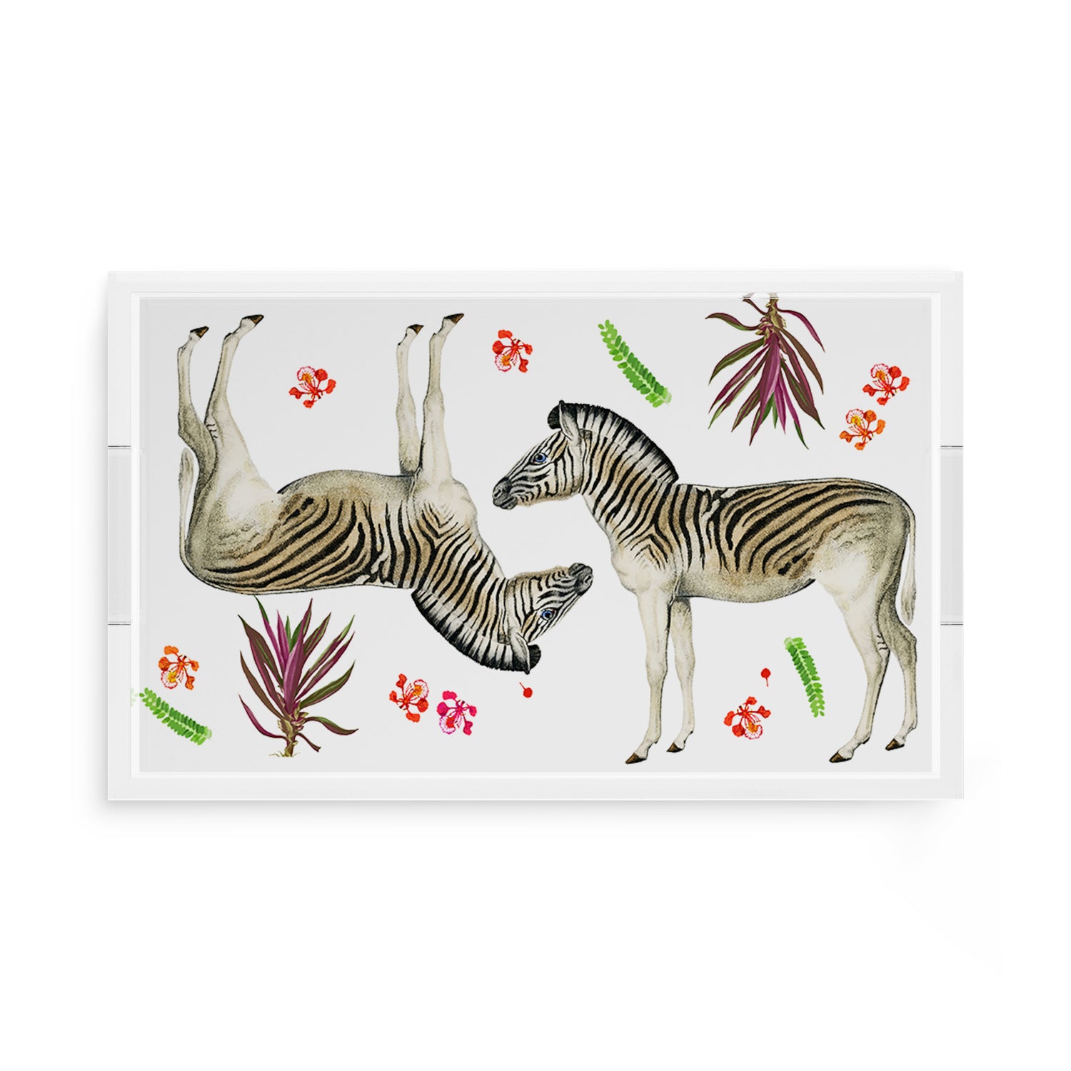 Zebra Seeing Double 17X10.5 Acrylic Tray - nicolettemayer.com

