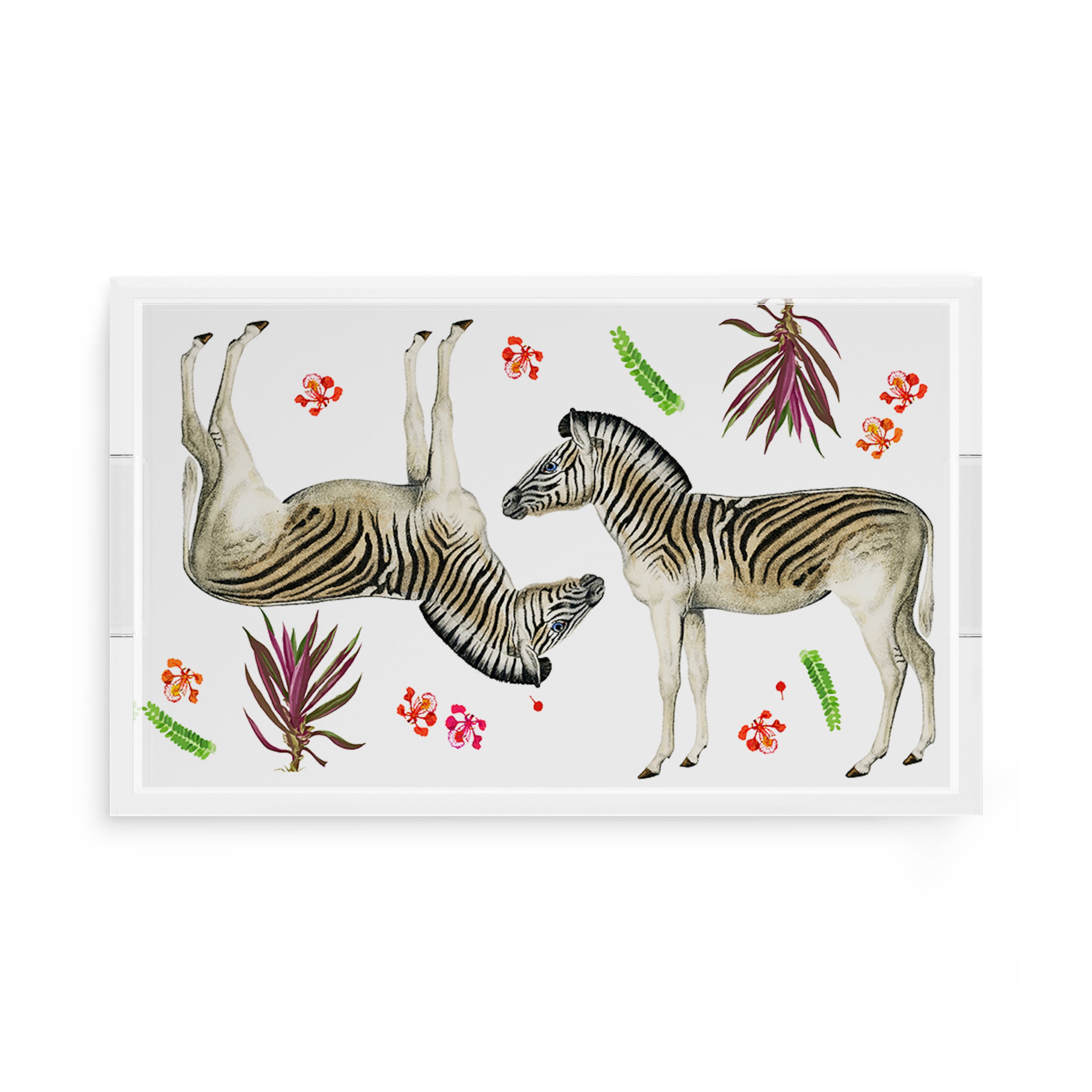 Zebra Seeing Double 17X10.5 Acrylic Tray - nicolettemayer.com

