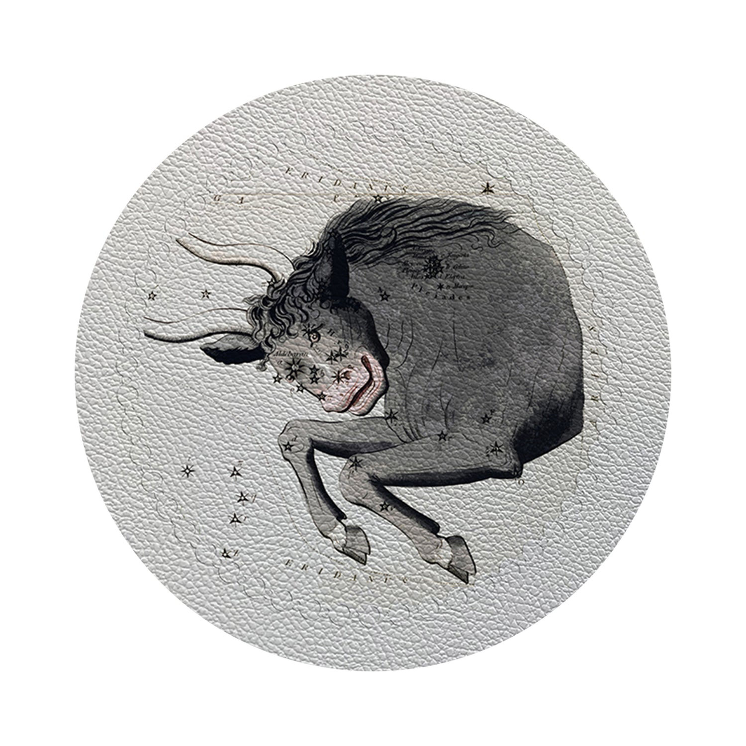 Zodiac Taurus White 16&quot; Round Pebble Placemats, Set of 4 - nicolettemayer.com
