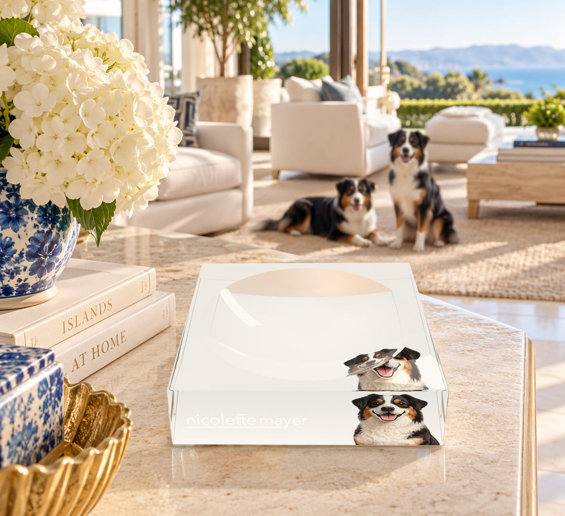Australian Shepherd Dog Acrylic Candy Catchall Dish, on a coffee table, by Nicolette Mayer