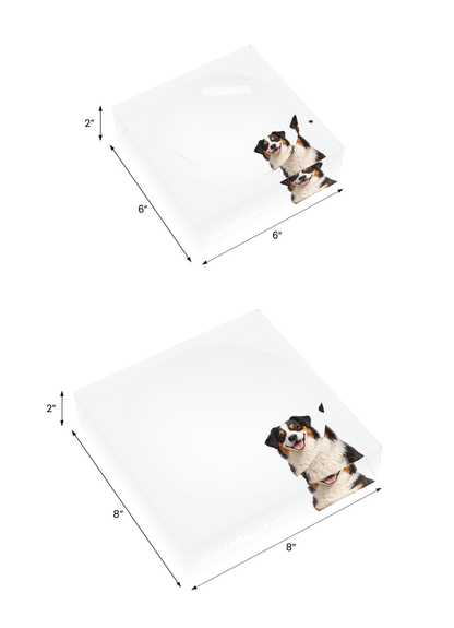 Australian Shepherd Dog Acrylic Candy Catchall Dish, both sizes, by Nicolette Mayer