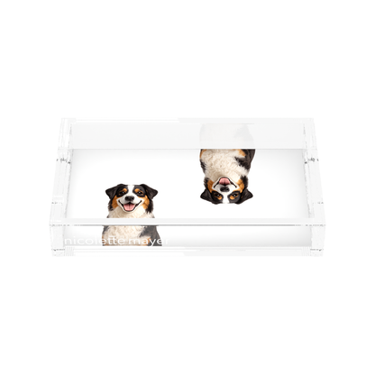 Australian Shepherd Dog Acrylic Rectangle Tray, front, by Nicolette Mayer