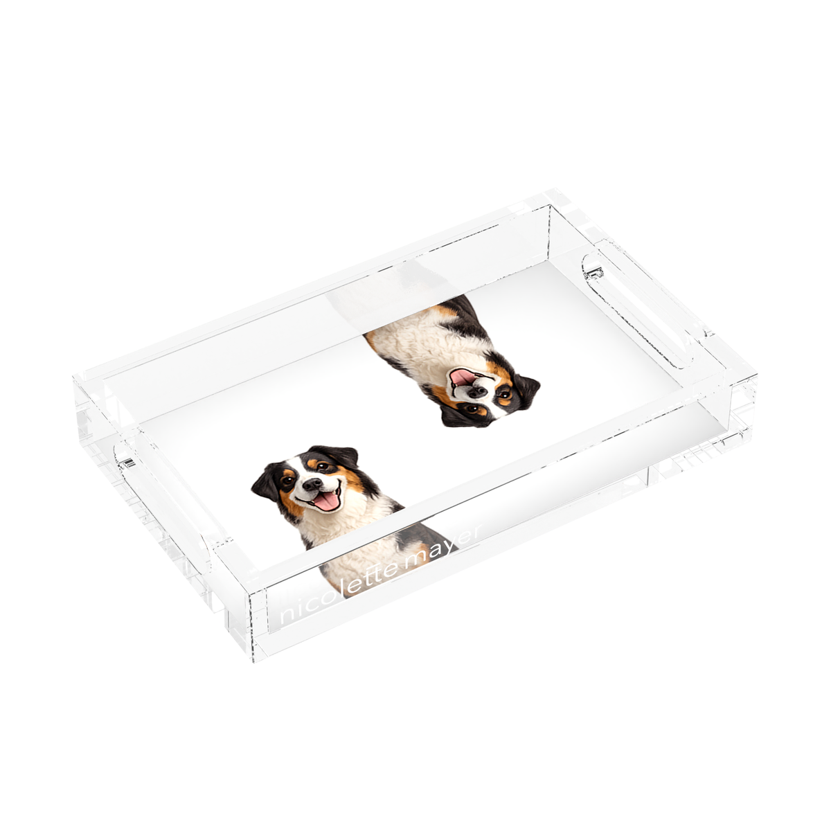 Australian Shepherd Dog Acrylic Rectangle Tray, left three-quarter, by Nicolette Mayer