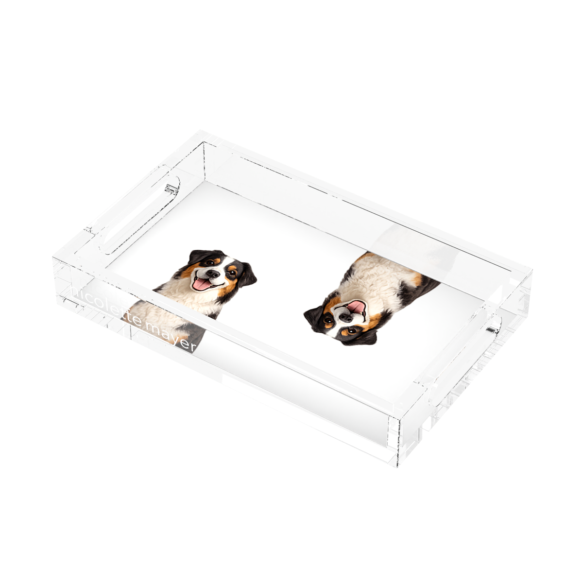 Australian Shepherd Dog Acrylic Rectangle Tray, right three-quarter, by Nicolette Mayer