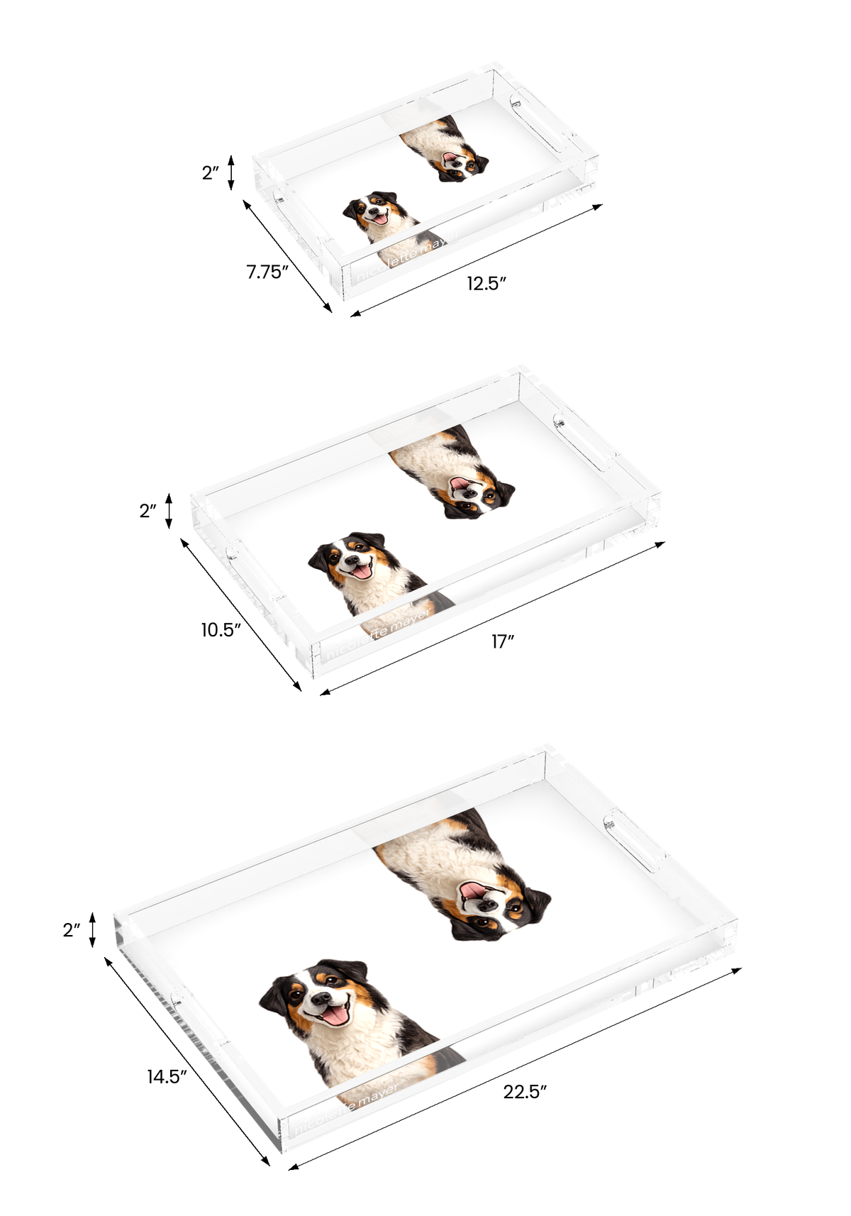 Australian Shepherd Dog Acrylic Rectangle Tray, all three sizes, by Nicolette Mayer