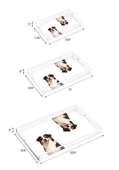 Australian Shepherd Dog Acrylic Rectangle Tray, all three sizes, by Nicolette Mayer