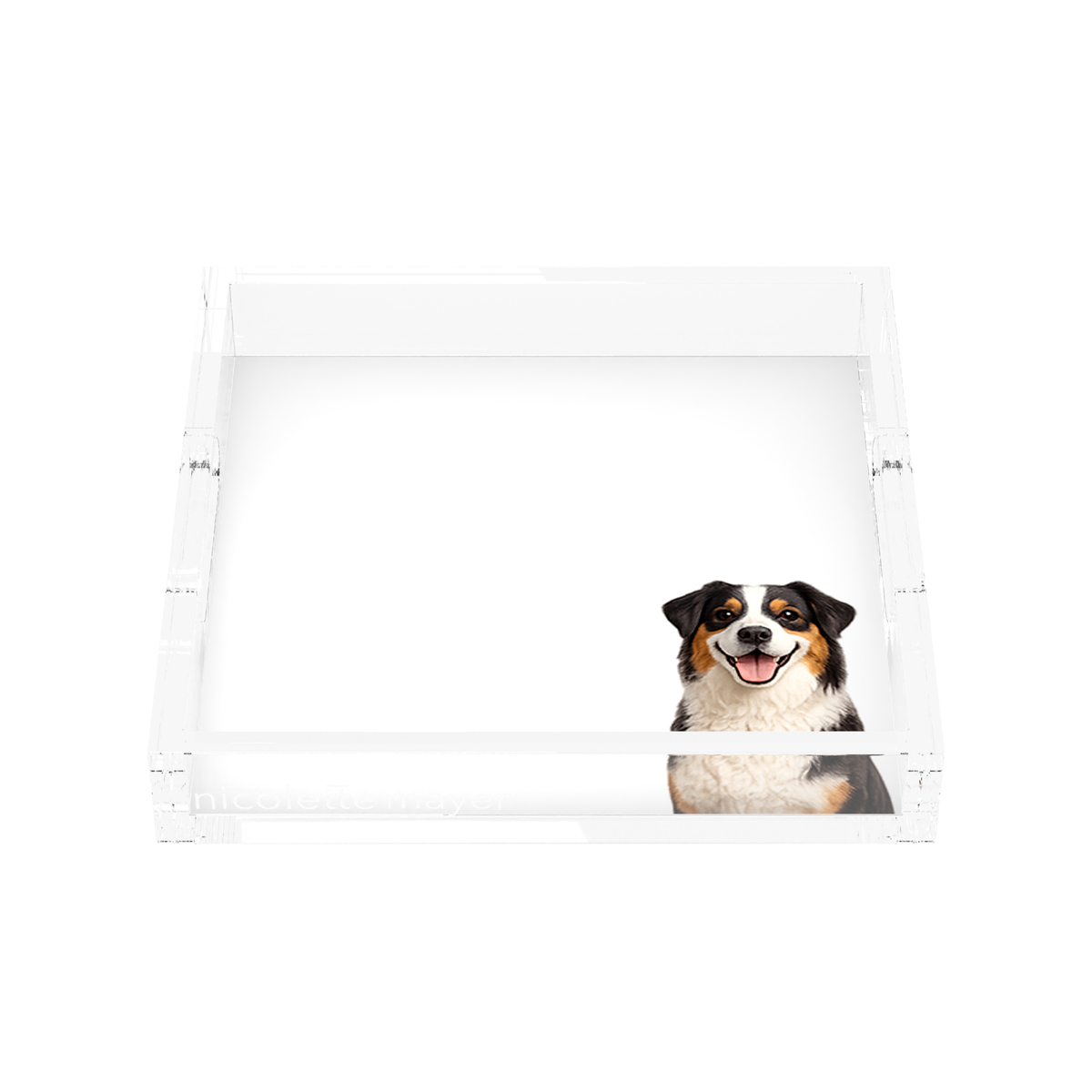 Australian Shepherd Dog Acrylic Decorative Tray, front, by Nicolette Mayer