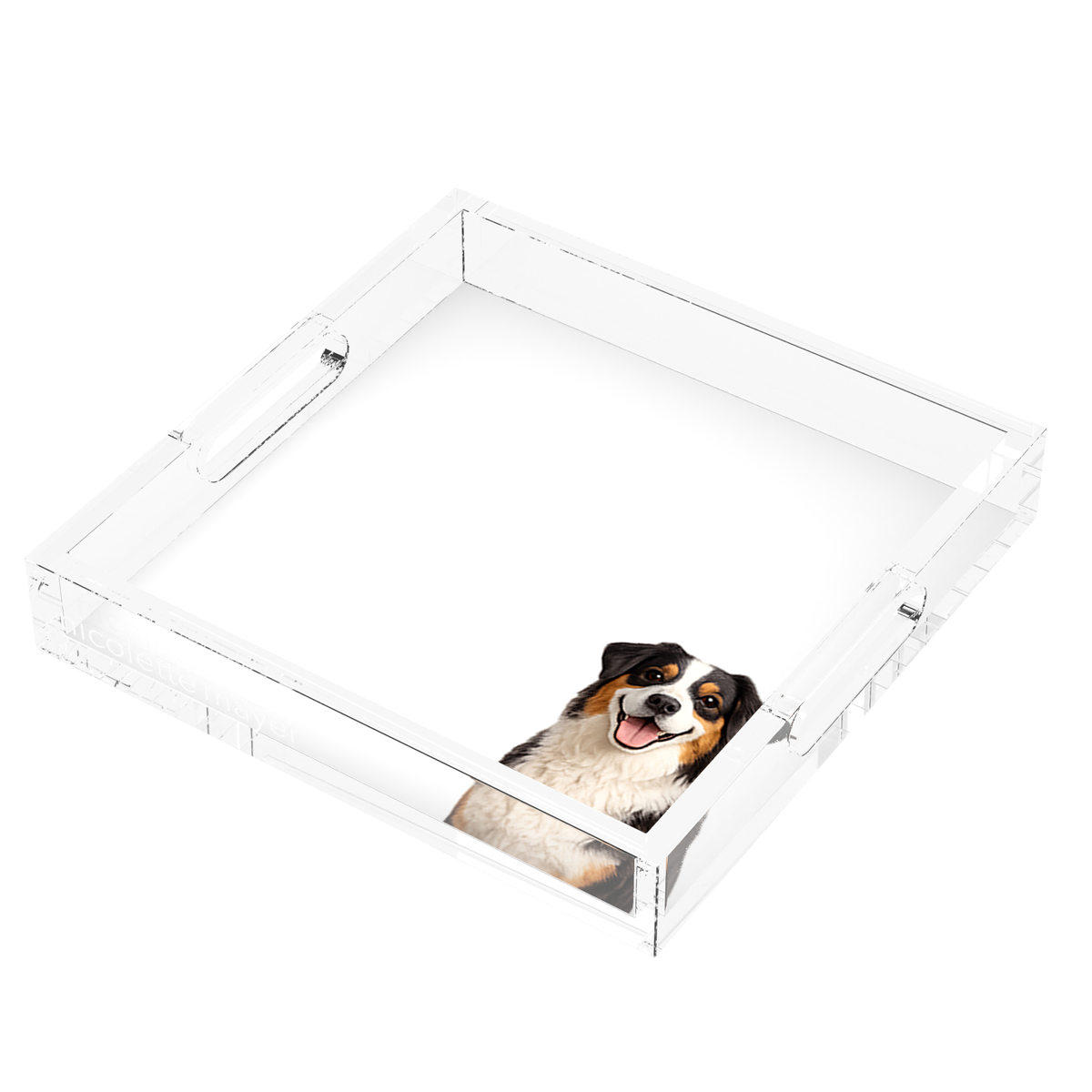Australian Shepherd Dog Acrylic Decorative Tray, right three-quarter, by Nicolette Mayer
