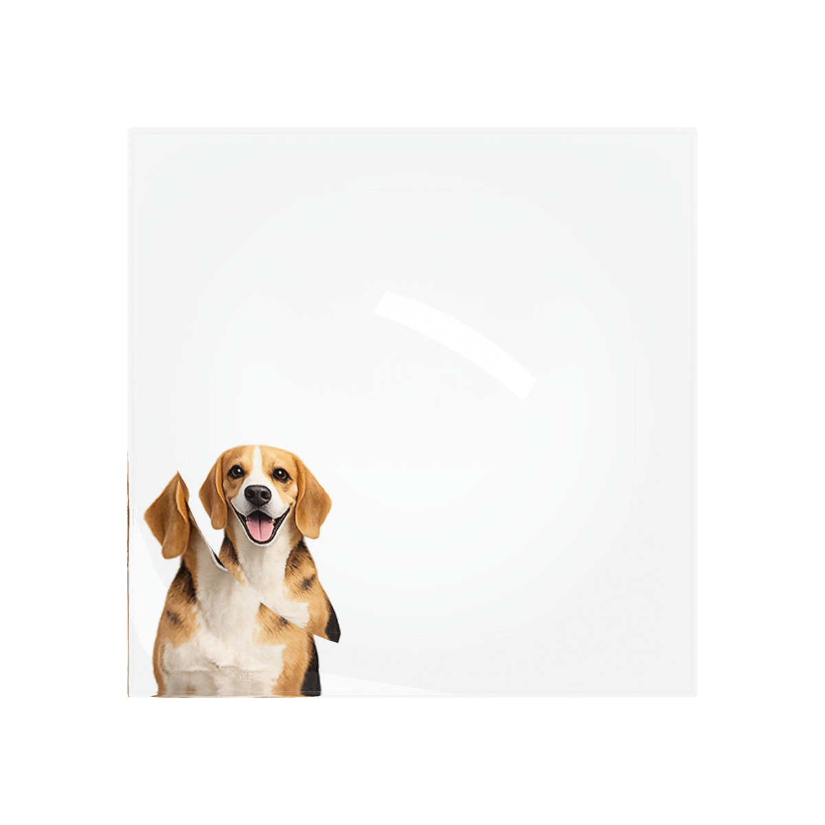 Beagle Dog Acrylic Candy Catchall Dish, overhead, by Nicolette Mayer