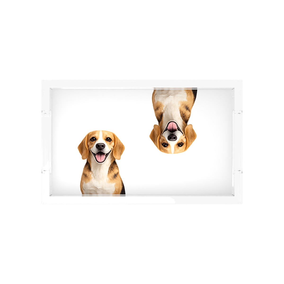 Beagle Dog Acrylic Rectangle Tray, overhead, by Nicolette Mayer