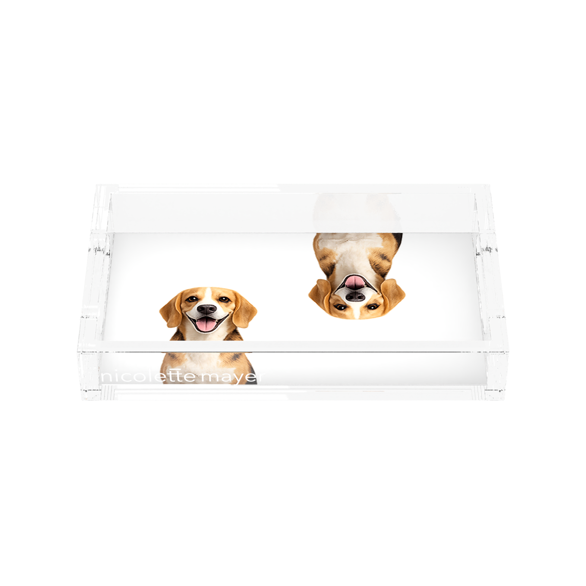 Beagle Dog Acrylic Rectangle Tray, front, by Nicolette Mayer