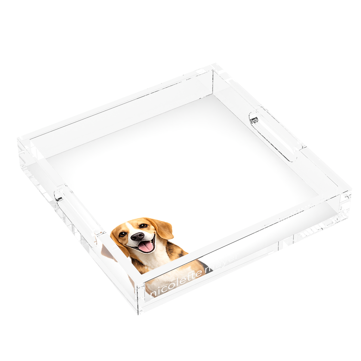 Beagle Dog Acrylic Decorative Tray, left three-quarter, by Nicolette Mayer